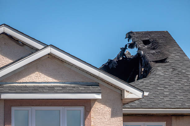 Top rated local Odor Removal specialists in Clear Lake, WA